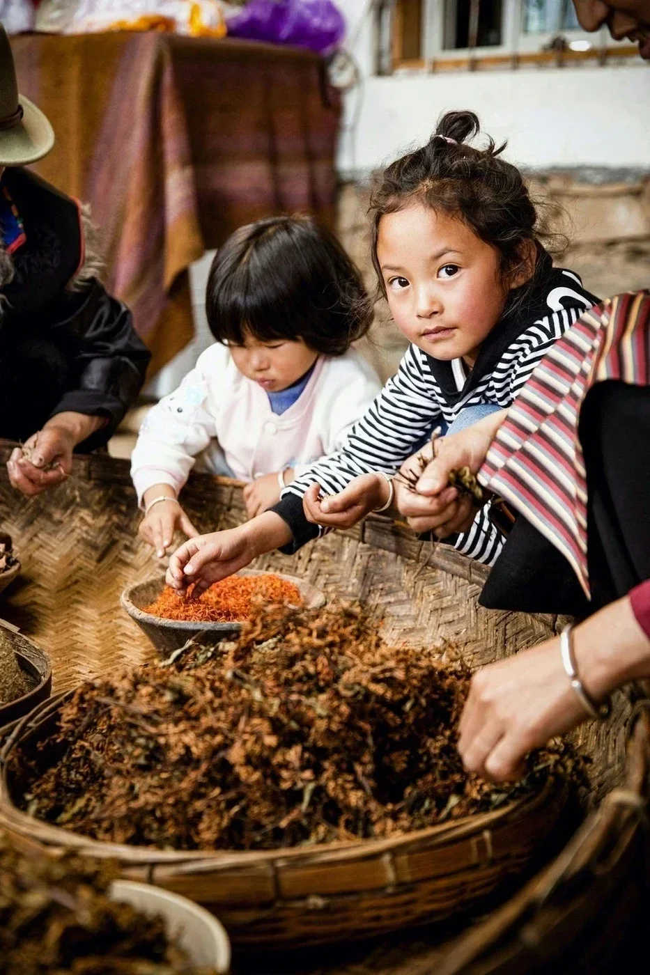 Meticulously hand-selected raw herbs for Labrang Monastery Tibetan incense during quality control.